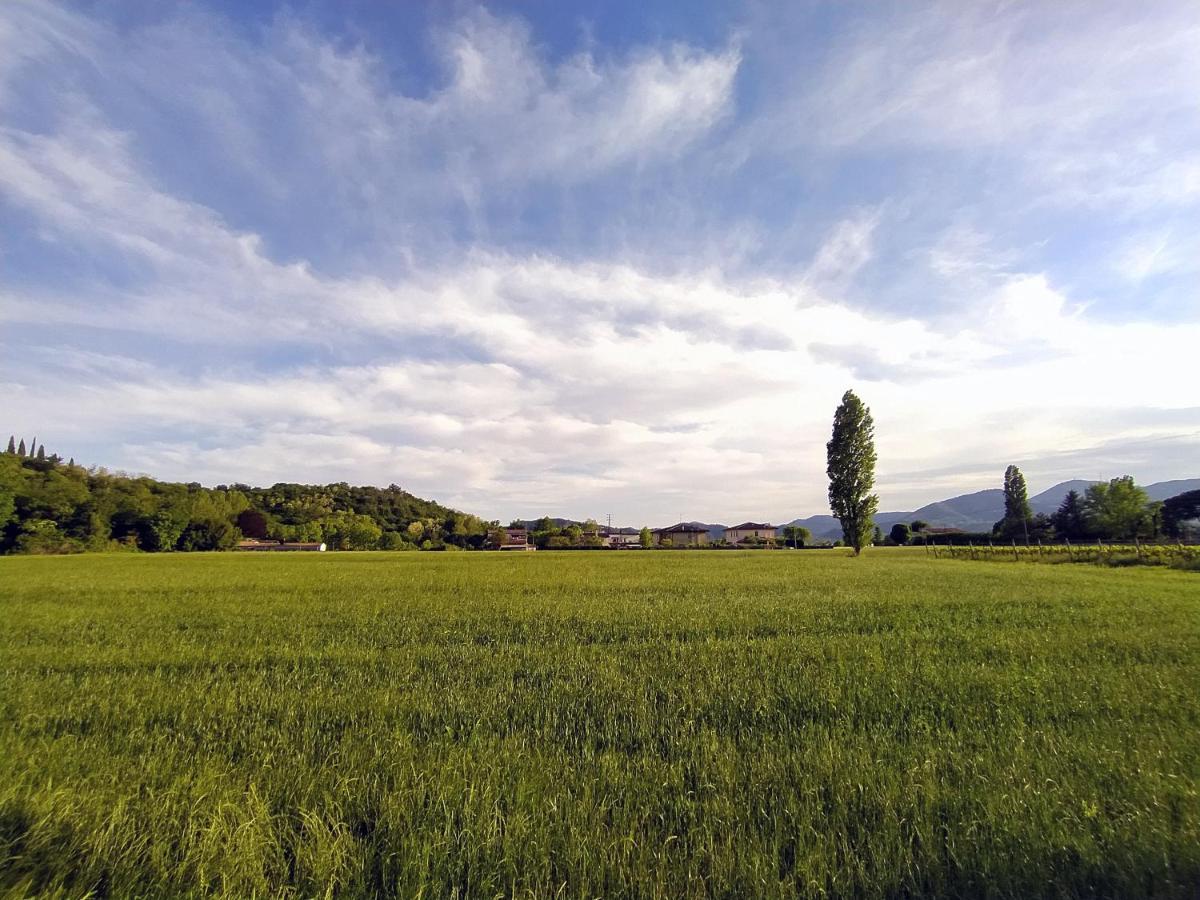 Ca' Emma Teolo Daire Dış mekan fotoğraf